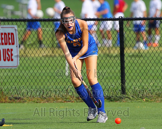 CHS_08_fh