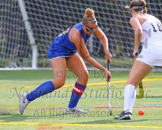 CHS_11_fh