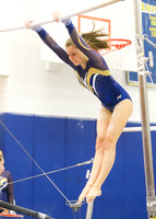 CHS_005_gy