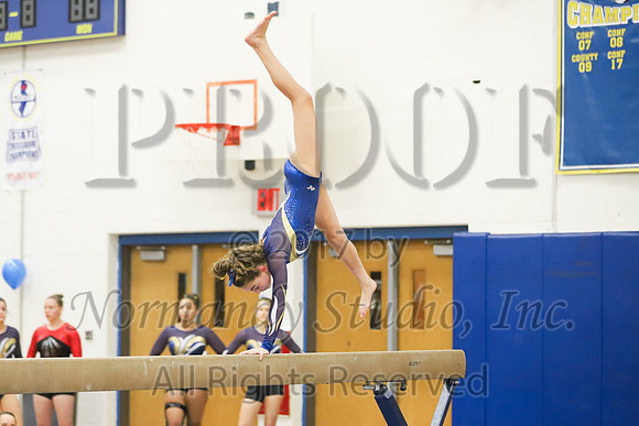 CHS_046_gy