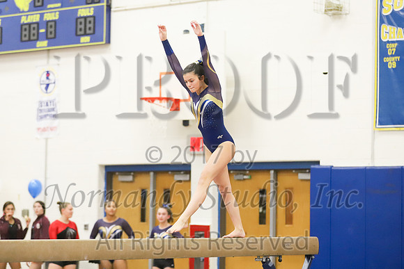 CHS_054_gy