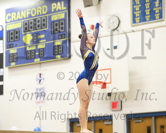 CHS_028_gy