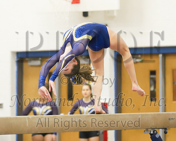 CHS_042_gy