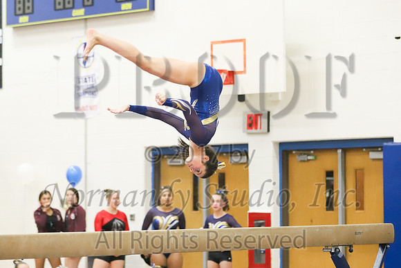 CHS_055_gy