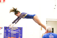 CHS_011_gy