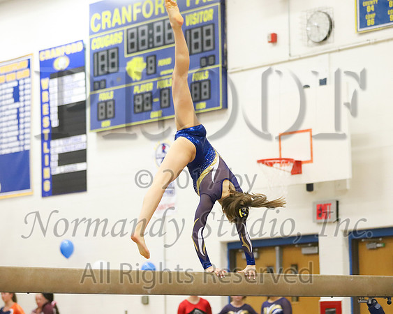CHS_036_gy