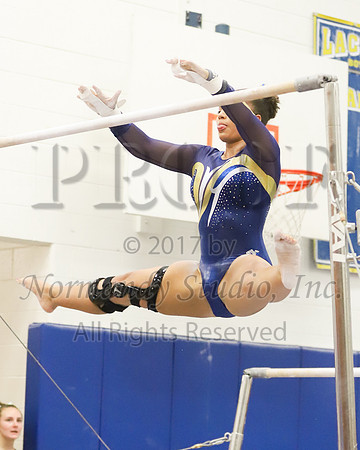 CHS_017_gy