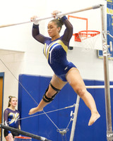 CHS_018_gy