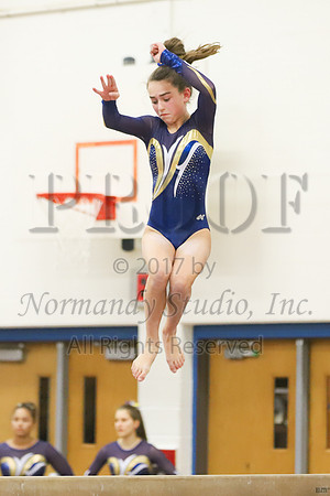 CHS_043_gy