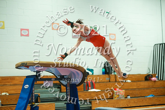 MNP_15_gy