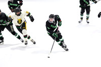 ICE HOCKEY