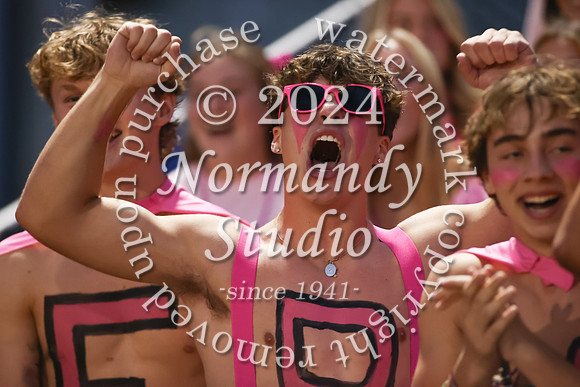 SVL_fans_02