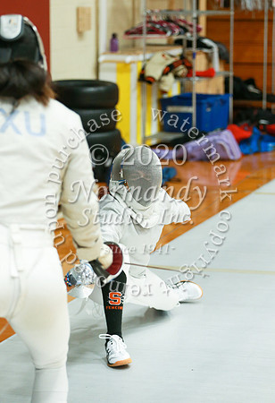 SVL_043_fe-g
