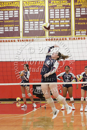 MSM_vb-g_15