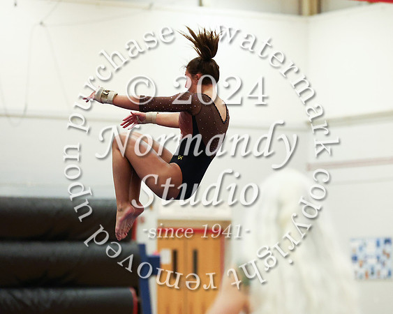 WTG_gy_44