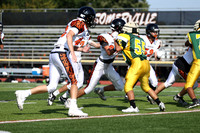 SVL_fb-f_17