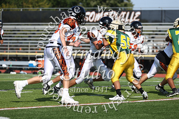 SVL_fb-f_17