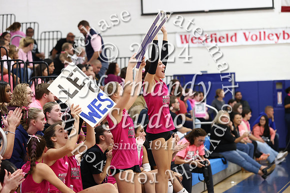 WHS_vb-pink out_68