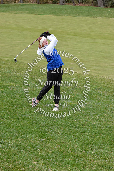 WHS_go-g_41