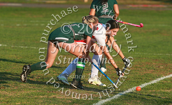MNP_fh_21