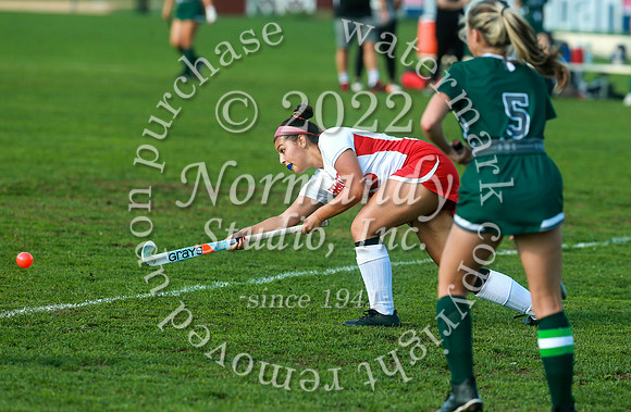 MNP_fh_24