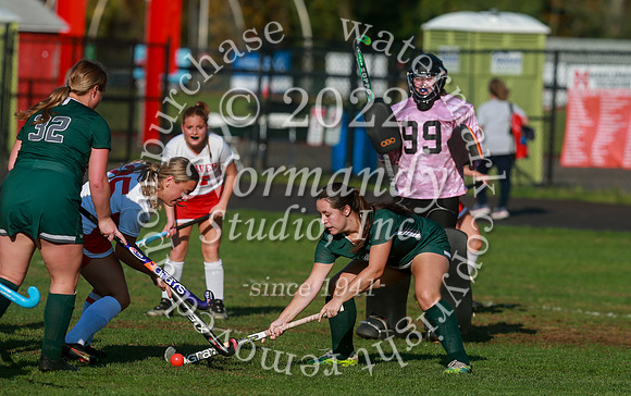 MNP_fh_41