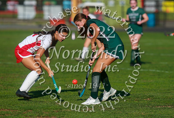 MNP_fh_36
