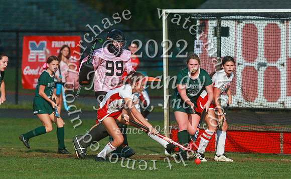MNP_fh_53