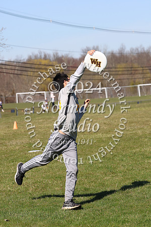 WTG_frisbee-b_14