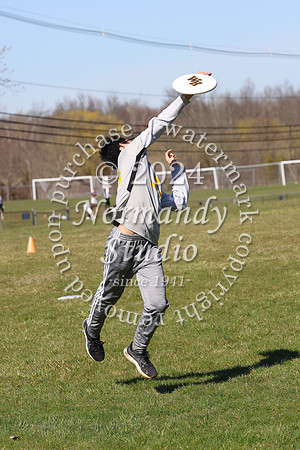 WTG_frisbee-b_13