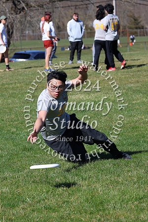WTG_frisbee-b_11