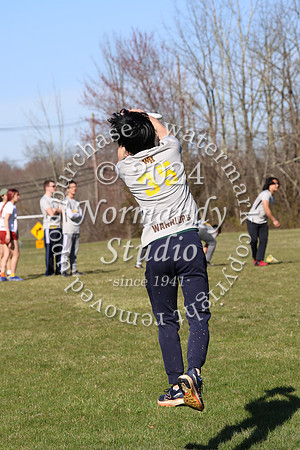 WTG_frisbee-b_24