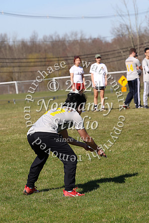 WTG_frisbee-b_23