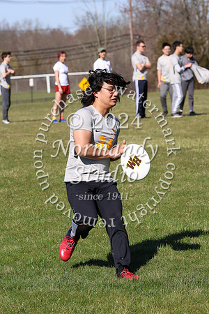 WTG_frisbee-b_27