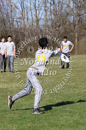 WTG_frisbee-b_28