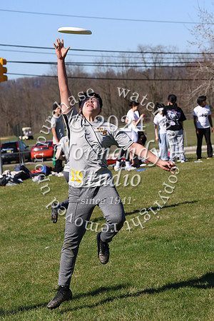 WTG_frisbee-b_32