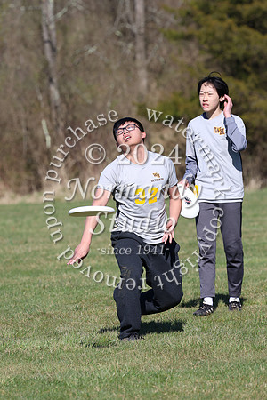 WTG_frisbee-b_44