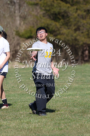 WTG_frisbee-b_60