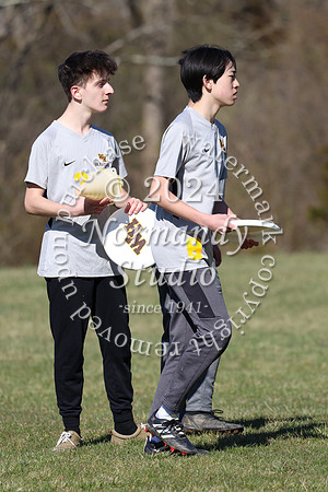 WTG_frisbee-b_01