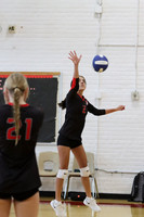 BER_vb-g_01