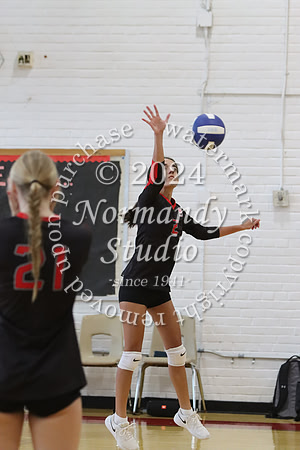 BER_vb-g_01