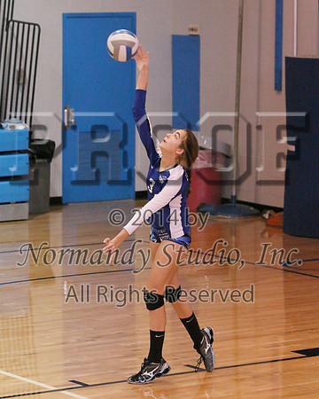 UCH_51_vb-g