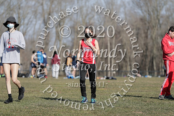 MNP_019_wt-g
