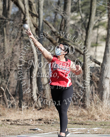 MNP_046_wt-g