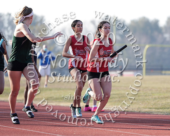 MNP_081_wt-g