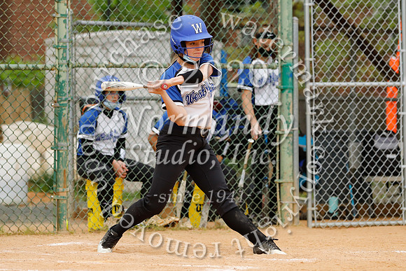 WHS_046_sb
