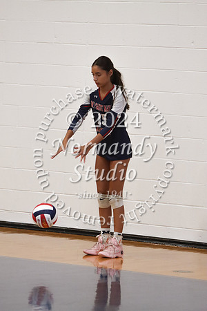 MSM_vb-g_08