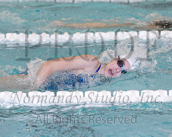 CHS_43_sw-g