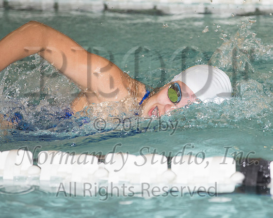 CHS_15_sw-g
