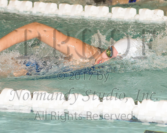CHS_14_sw-g